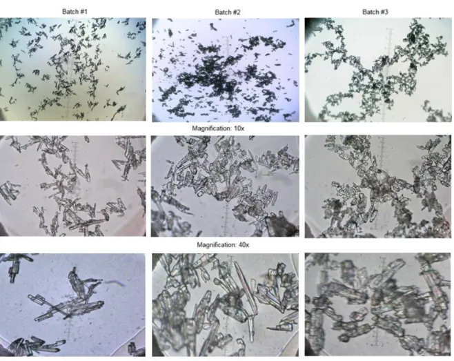 Figure 15. Nicorandil optical microscopy. Batches #1 and #2 