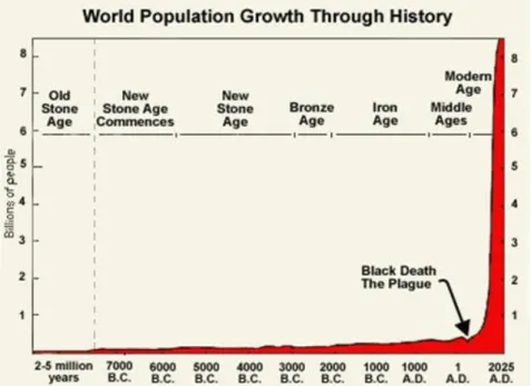 Figura 1.2: Crescimento da população mundial ao longo da história (fonte: [5]).