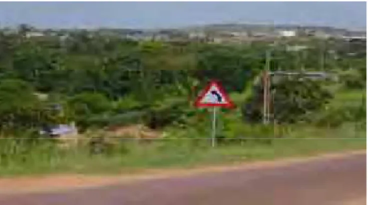 Foto 4: No entanto, prevalecem contraste das paisagens construídas em dois lados opostos da estrada: À  esquerda Aldeia de Macanwine e à direita o Bairro de Chinunguine