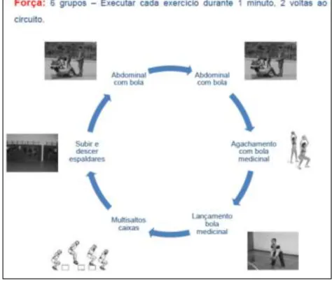 Figura 2.2.2.2: Circuito de treino de Força nº2 