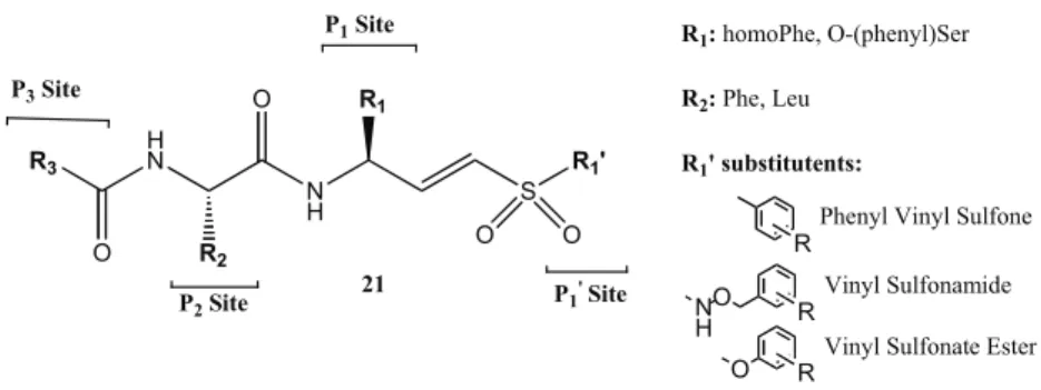 Fig.  (20).  Compound  25,  one  of  the  best  inhibitors  designed  by  Diederich and co-workers [103] with a  K i  value against FP2 of 1.2 