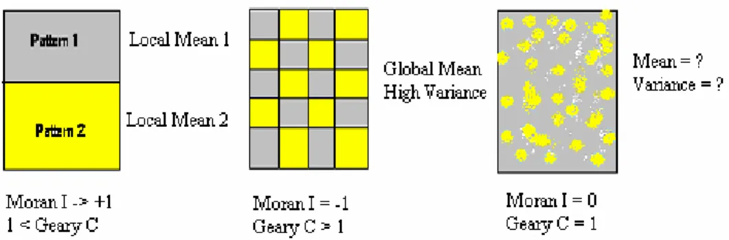 Figure 10 – The Moran I and Geary C measures inferences. 