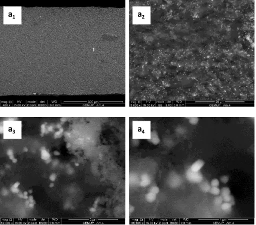 Figure 4.3 - Cross-section SEM images of PDMS films incorporating carbon black and  TiO 2 : a 1  - magnification 400x, a 2  – magnification 5000x, a 3  – magnification 50 000x and 