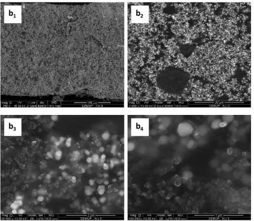 Figure 4.4 - Cross-section SEM images of PEBA 2533 films incorporating carbon black  and TiO 2 : b 1  - magnification 750x, b 2  – magnification 5000x, b 3  – magnification 50 000x 
