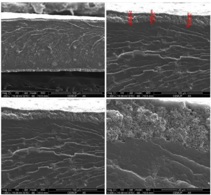 Figure 3.9 – SEM images of the cross-section of PEBA 2533 film incorporating carbon  black assembled with type b electrodes