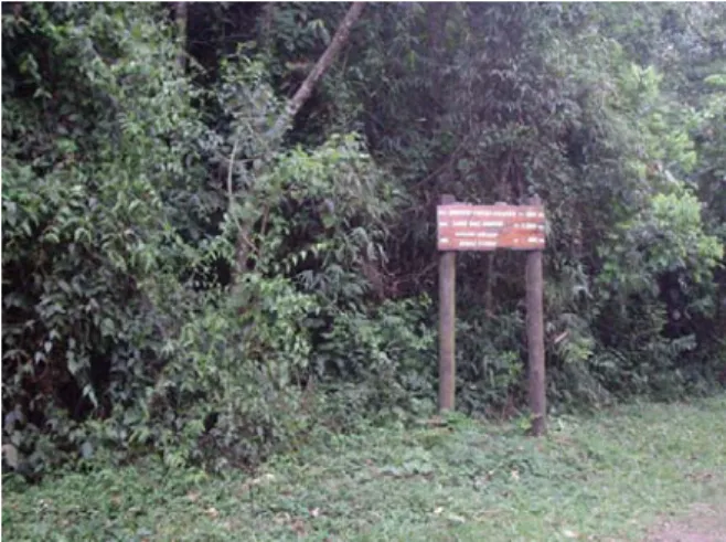 Figura 1: Trilhas da Reserva Ecológica da Serra da Cantareira. 