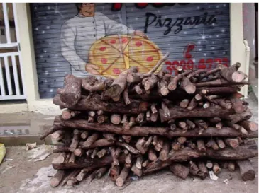 Figura 9: Jovens apontam o problema da pizzaria que corta lenha de forma ilegal da reserva  ecológica da Serra da Cantareira