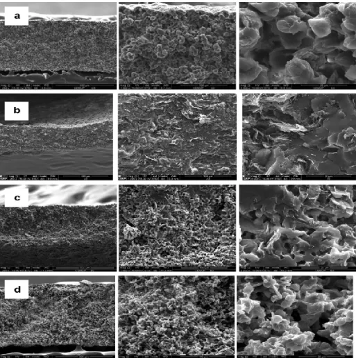 Fig. 3. Cross-section SEM images of the PEBA 4033 ﬁlm (a) and the ECPCs (b-d) with  5.5 vol.% M5 at different magniﬁcations and different solvents: ﬁlm (a) -  non-solvent: water, ﬁlm (b) - non-non-solvent: water, ﬁlm (c) - non-non-solvent: ethanol and ﬁlm 
