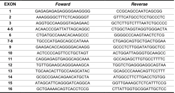 Tabela  1.  Sequência  de  primers  foward  e  reverse  para  os  16  exons  e  dois  introns  do  gene  CDH1