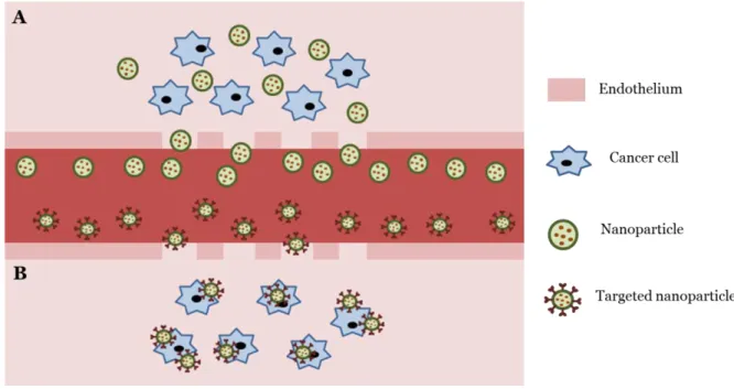 Figure 1 - Schematic representation of passive (A) and active (B) targeting of nanoparticles to tumors