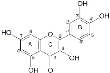Figure 1. Chemical structure of quercetin. 