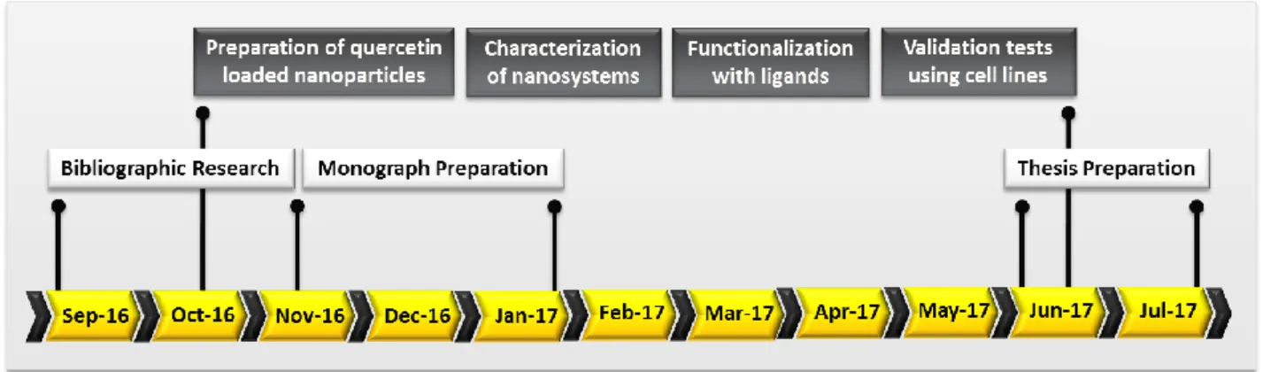 Figure 4. Tentative timeline (from September 2016 to July 2017). 