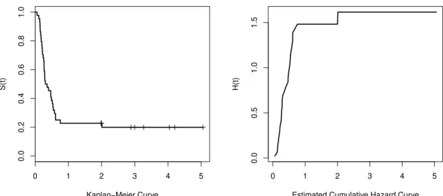 Figure 1.1: Kaplan-Meier and estimated cumulative hazard curves for the leukemia data set.