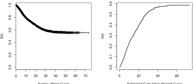 Figure 1.4: Kaplan-Meier and estimated cumulative hazard curves for the divorce data set