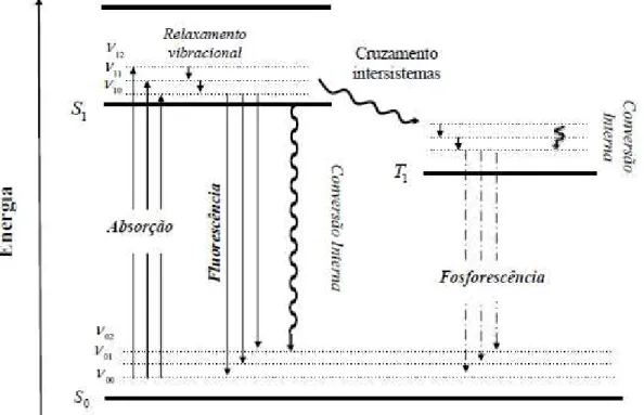 Figura  7.  Representação  dos  processos  de  absorção  e  de  emissões  fluorescentes,  fosforescente  e  não  radiativa,  conhecida  como  diagrama  de 