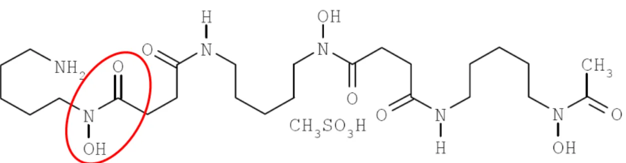 Figura  3  -  Fórmula  estrutural  do  Desferal  (Mesilato  de  desferrioxamina).  O  grupo  destacado  em  vermelho  refere-se  ao  grupo  ligante  do  sideróforo  denominado  hidroxamato