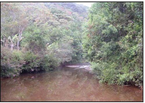 Figura 3.7 - Área coberta por capoeira, córrego Brumadinho, bacia do ribeirão Caraça. 