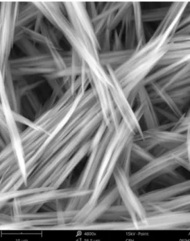 Figure  3.9.  Needles  of  API  obtained  after  evaporation  and  cooling,  observed  using  the  SEM  technique  (Zoom  x4800)
