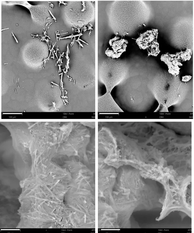 Figure 3.14. Morphology of the crystals obtained after  the seeding experiment (top - zoom 480x; bottom  – zoom  4800x) by SEM analysis