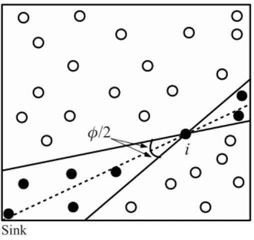 Figure 3.2. Directed angulation toward the sink model