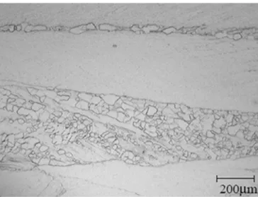 Fig. 4. Sample hot rolled at 1040 1C to 1.8 mm thick and then cold rolled and annealed at 700 1C for 30 s (section parallel to the rolling direction).