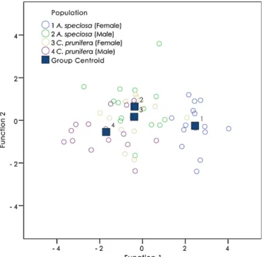 Fig. 8. Group centroid derived from morphometric analysis demonstrating that populations 2 (males from the babac ¸u) and 3 (females from the carnauba) did not differ.