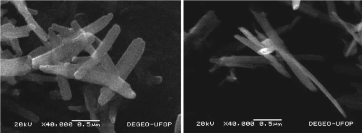 Fig. 6. Scanning electron microscopy images of samples GS (left) and BGS3 (right).