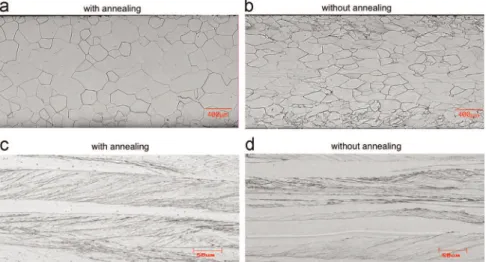 Fig. 2. Volume fraction of the ﬁbers and Cube component of hot band samples with (WA) and without initial annealing (NA).
