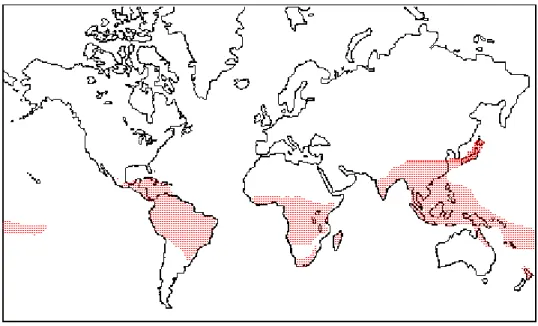 Figura  1  – Mapa  de  distribuição    da  família  Balanophoraceae    no    mundo.  Fonte: 