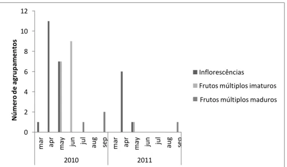 Figura 8 - Número de indivíduos nas fenofases floração de L.hypogaea em 2010 (N= 19) e  2011 (N=7), frutos imaturos em 2010 (N=16) e 2011 (N=1) e frutos maduros em 2010 (N=3)  e em 2011 (N=1), com seus respectivos picos de atividade e época de duração