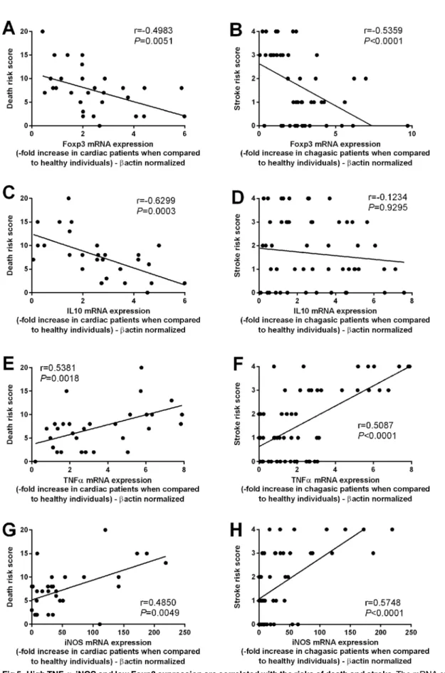 Fig 5. High TNF- α , iNOS and low Foxp3 expression are correlated with the risks of death and stroke