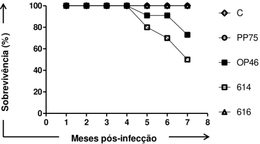 Figura  6:  Taxa  de  sobrevida  de  hamsters  dos  grupos:  controle  (C)  e  infectados experimentalmente com dois isolados (614 e 616) e com as cepas  PP75  (L