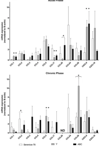 Fig. 1. Expression of type 1 and type 2 chemokines in heart from infected dogs, under influence of different populations of Trypanosoma cruzi, during acute and chronic phases
