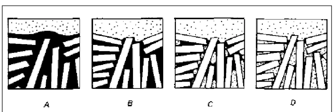 Figura 3.3 Distribuição de água durante a secagem em um corpo cerâmico (Hlavac, 1983)  Segundo Bogas (2013), os vazios deixados pela água vão contrair-se de forma não uniforme  podendo  provocar  deformações  diferenciais  nas  peças