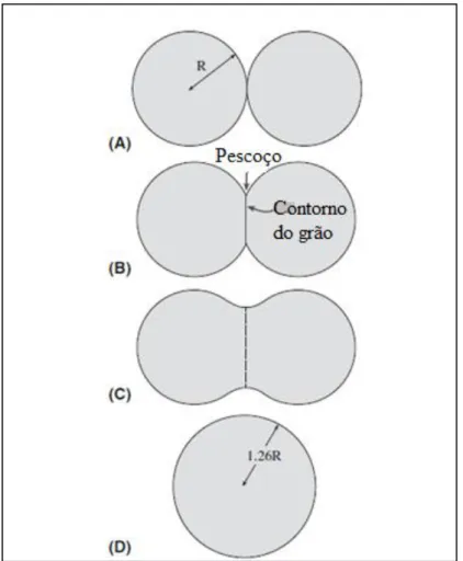 Figura 3.4 Coalescência entre partículas (Carter e Norton, 2007) 