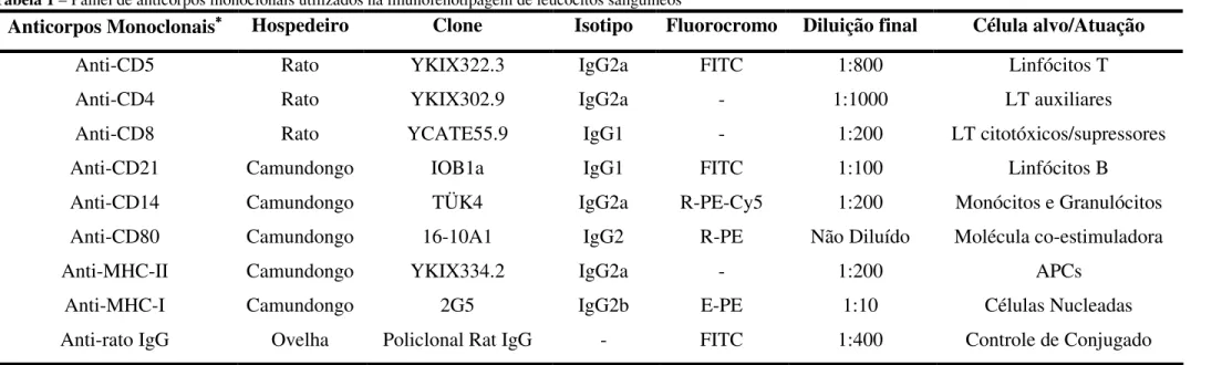 Tabela 1 – Painel de anticorpos monoclonais utilizados na imunofenotipagem de leucócitos sanguíneos 