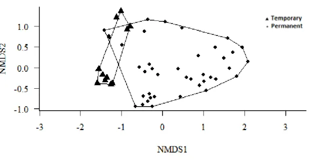 Figura 7. Estrutura de comunidade entre as lagoas temporárias e permanentes. PERMANOVA com NMDS  demonstrando os agrupamentos de similaridade