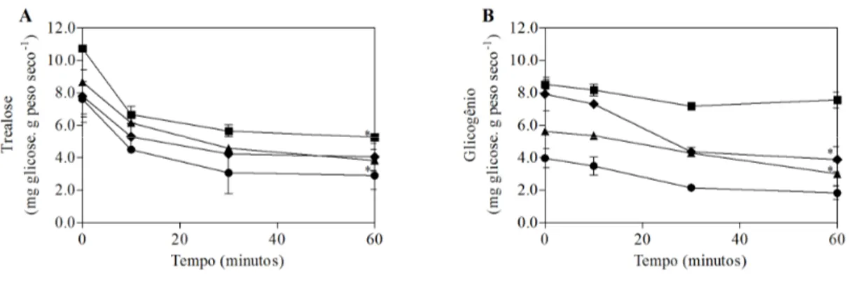 Figura  5:  Níveis  de  trealose  (A)  e  glicogênio  (B)  em  Saccharomyces  boulardii  ( ),  Saccharomyces  cerevisiae  LBCM  479  (ena  1-4 )  ( ),  Saccharomyces  cerevisiae  UFMG  905  ( )  e  Saccharomyces  cerevisiae  W303  ( )  cultivadas  em  meio