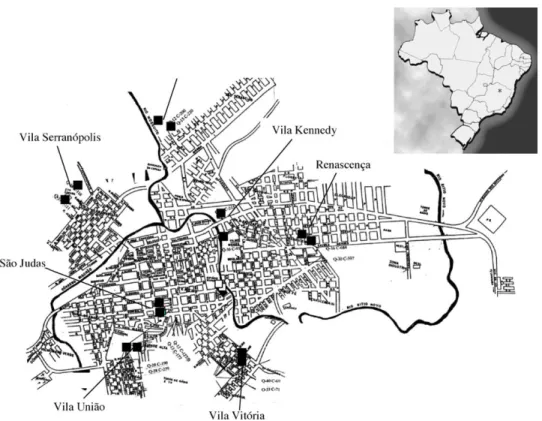 Fig. 1. Geographical localization (*) and map of the urban area of Porteirinha in the state of Minas Gerais (Brazil)