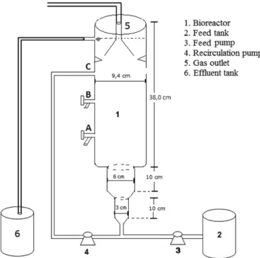 Fig. 1 shows a schematic diagram of the of lab-scale UASB reactor (1). The total volume was 3.0 L and it was placed inside a fume hood in a temperature-controlled room whereby the temperature was maintained at 25  2  C