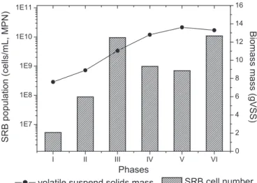 Fig. 2. Evolution of biomass monitored in the UASB reactor: (I) OLR ¼ 3.48 kg/m 3 d; (II) OLR ¼ 4.87 kg/m 3 d; (III) OLR ¼ 3.55 kg/m 3 d; (IV) OLR ¼ 4.65 kg/m 3 d; (V) OLR ¼ 5.89 kg/m 3 d; (VI) OLR ¼ 5.04 kg/m 3 d.