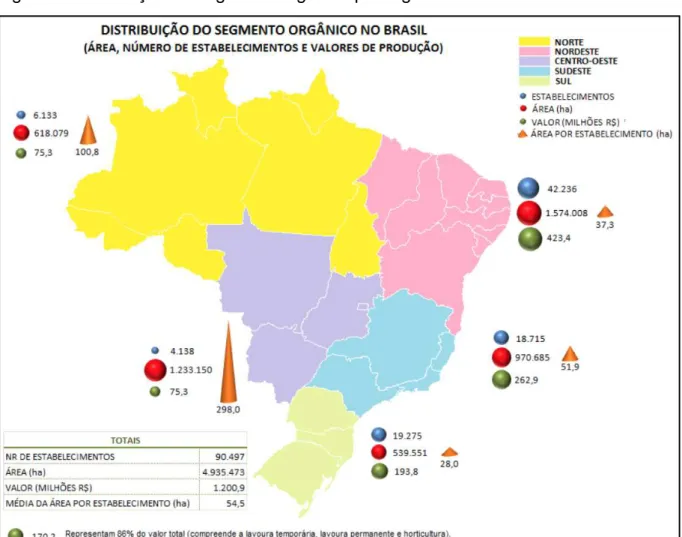 Figura 2: Distribuição do segmento orgânico por região brasileira. 