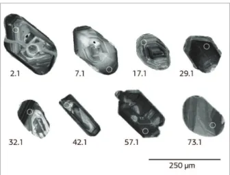 Figure  6.  CL  images  showing  internal  structures  of  some zircons from sample Vul-1A
