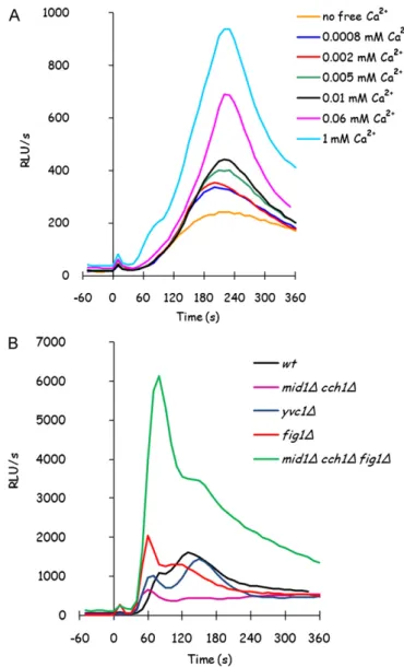 Fig. 6. Deletion of known transporters seriously affects glucose-induced calcium response only in minimal medium