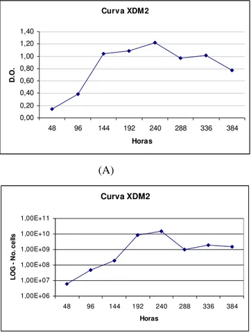Figura 1. Curva de crescimento da bactéria X. fastidiosa no meio XDM2 medida (A)  como A 600 nm  e (B) unidades formadoras de colônias