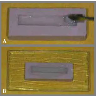 FIGURA 4. Prensagem da resina autopolimerizável: A) Resina na fase fluida vertida no  interior do molde de silicone; B) Placa de vidro pressionada sobre a superfície do molde.