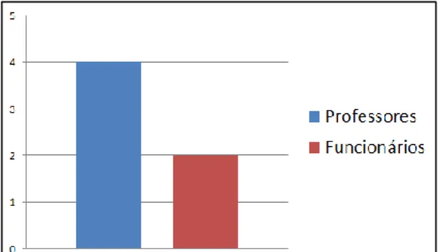 Figura 7 – Corpos docente e não docente (Total=34) 