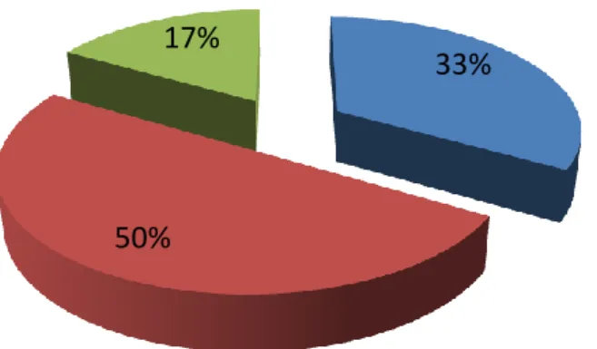 Gráfico 4.9 – Formação Complementar 