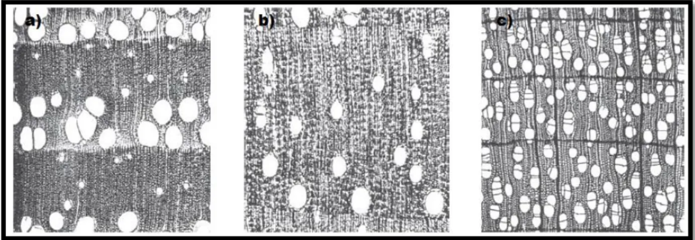 Figura 5: Tipos de porosidade: a) porosidade em anel, b) porosidade semi-difusa e porosidade difusa (Core et al.,  1979 citado por Bessa, 2009) 