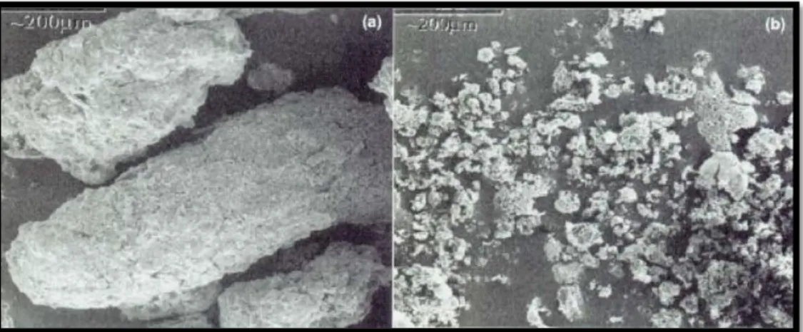 Figura  6:  SEM  fotomicrografias  do  tipo  de  cinzas  da  madeira.  a)  bottom  ash;  b)  fly  ash  (Naik e Kraus, 2003)